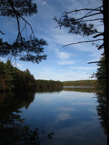 The reservoir