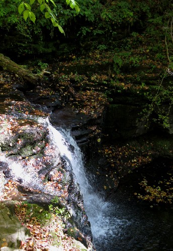 The lowest fall in the glen