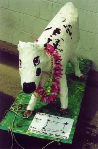 Rosie the calf sculpture, Brattleboro, VT